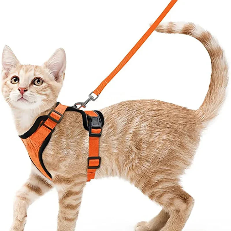 Harnais et laisse anti-fugue ajustable pour chat — contrôle facile
