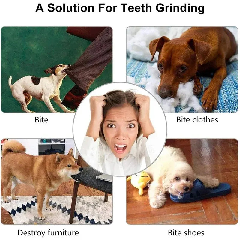 Balle distributrice de friandises pour chien et chat — nettoyage des dents