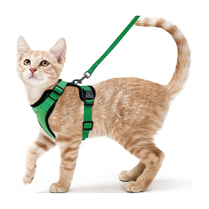 Harnais et laisse anti-fugue ajustable pour chat — contrôle facile