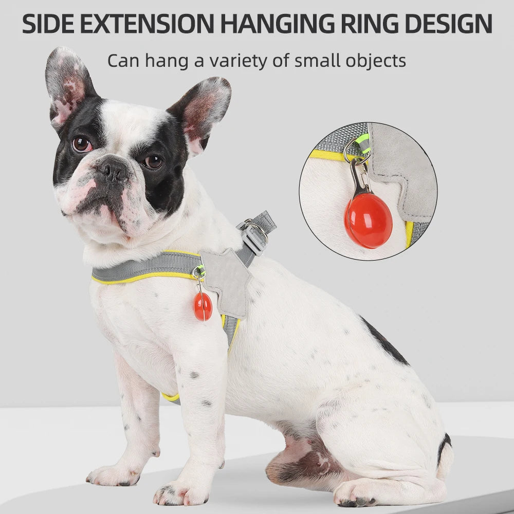 Harnais réfléchissant anti-traction pour petit chien et chat