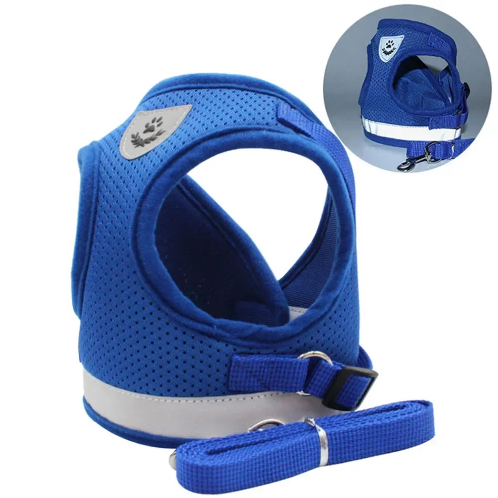 Ensemble harnais et laisse en mesh réfléchissant pour chat et petit chien