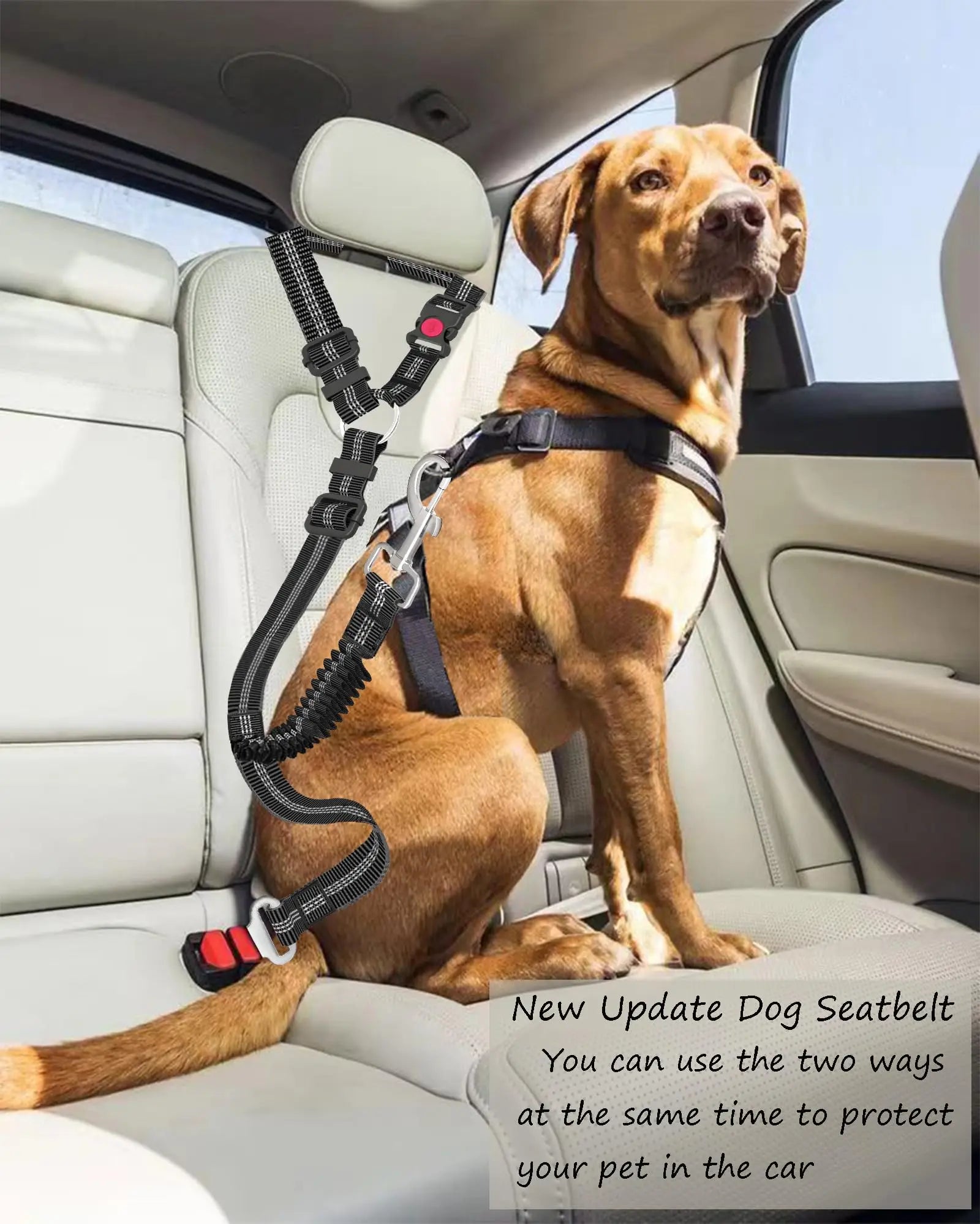 Ceinture de sécurité voiture renforcée pour chien — nylon rayé
