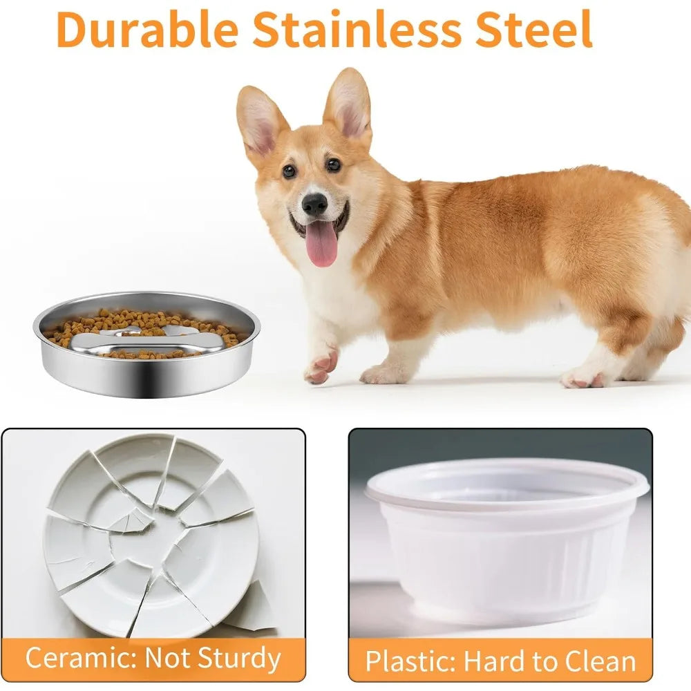 Gamelle anti-glouton en inox antidérapante pour chien et chat