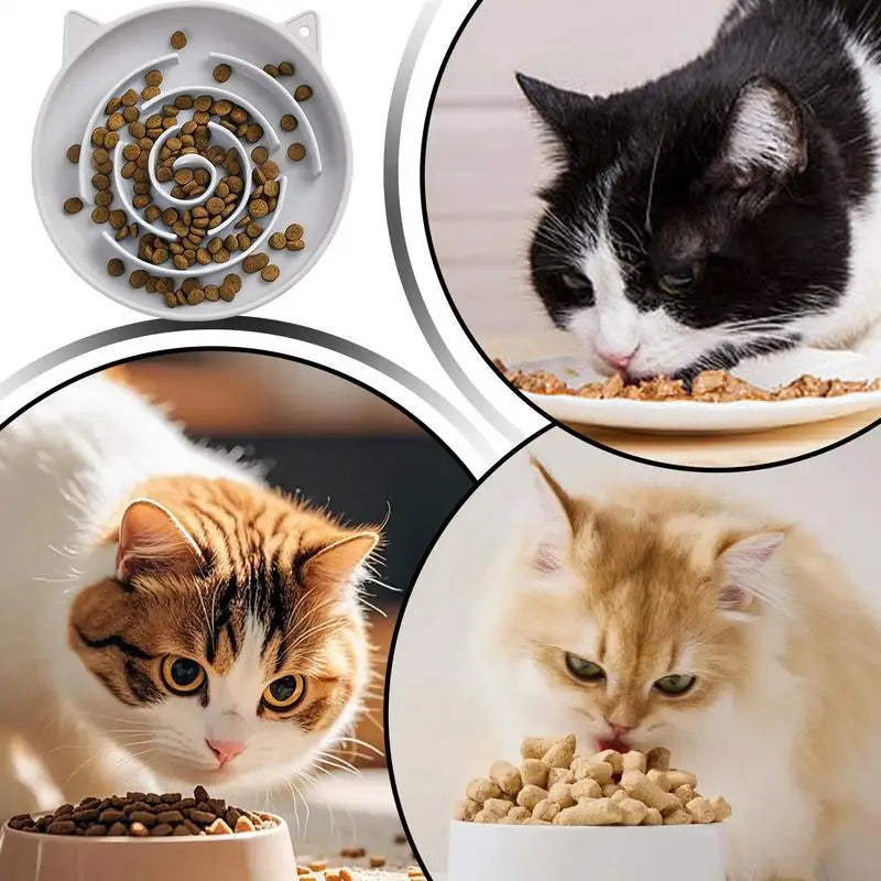 Gamelle anti-glouton pour chat — labyrinthe anti-renversement