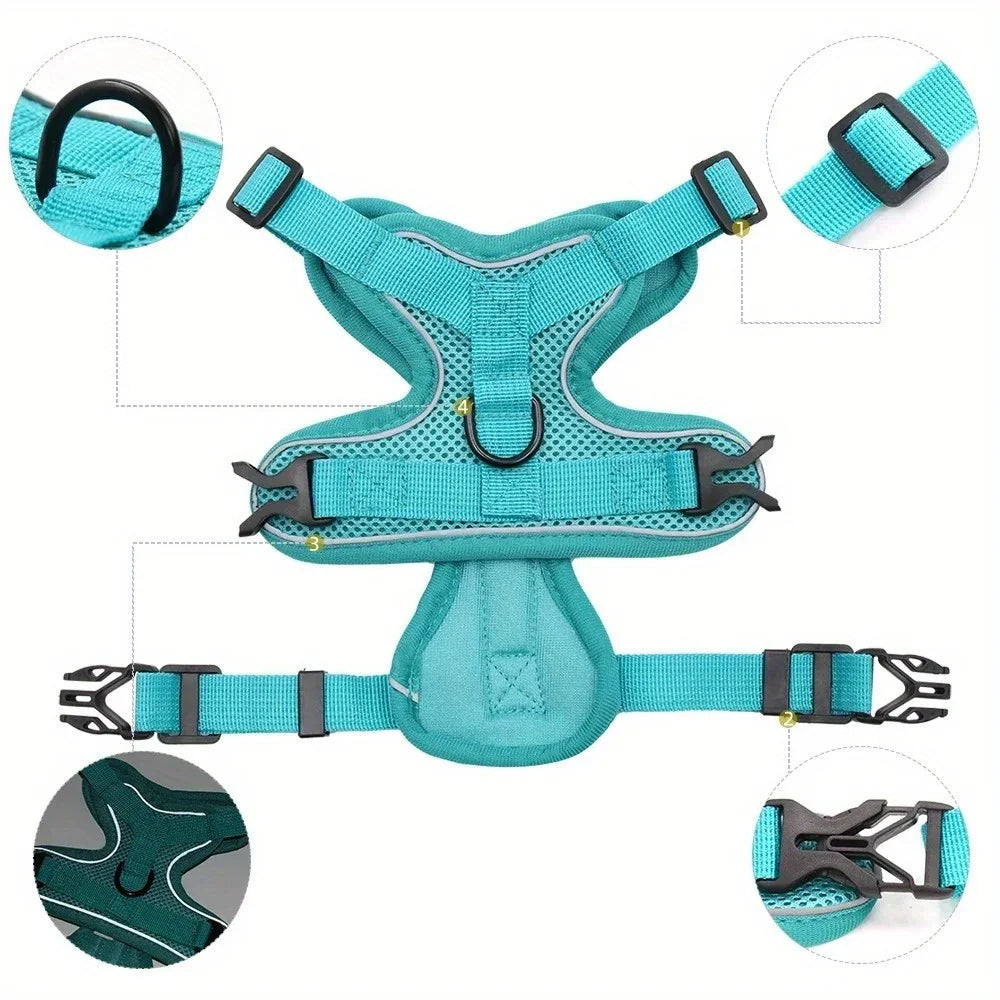 Ensemble harnais et laisse anti-traction réfléchissant pour petit chien et chat