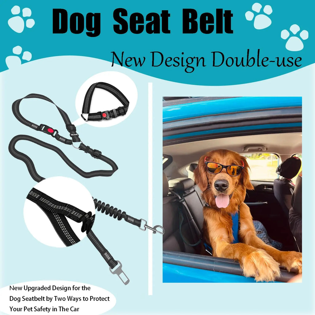 Ceinture de sécurité voiture renforcée pour chien — nylon rayé