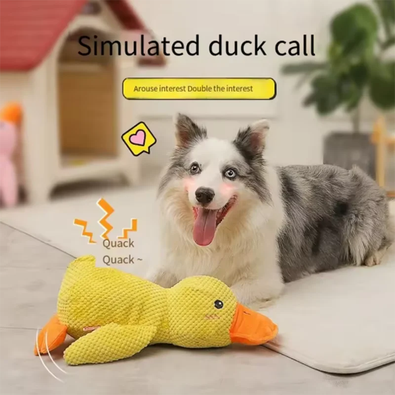 Peluche canard à câliner pour chien — jouet anti-ennui
