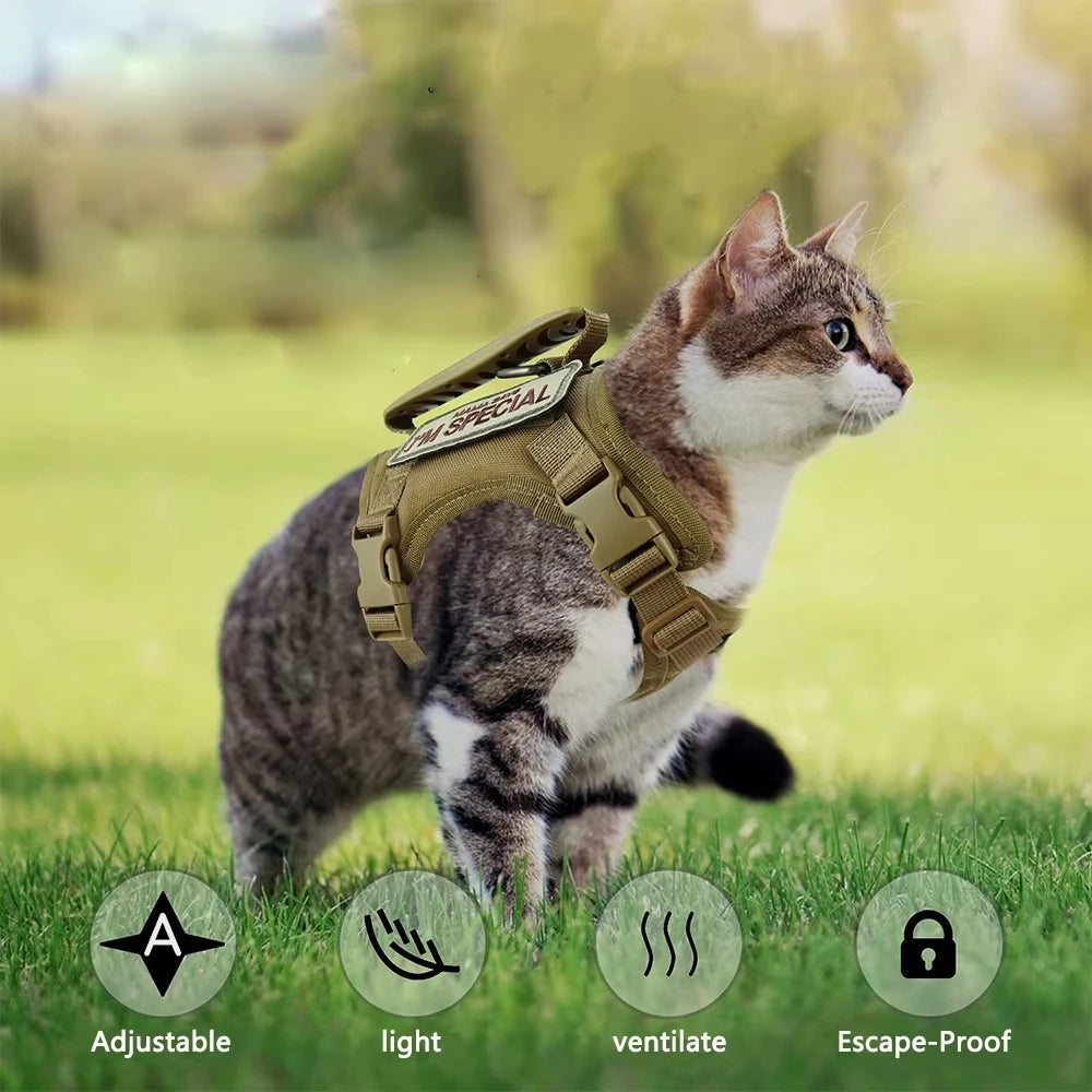 Harnais tactique d'extérieur anti-fugue pour chat — veste réglable
