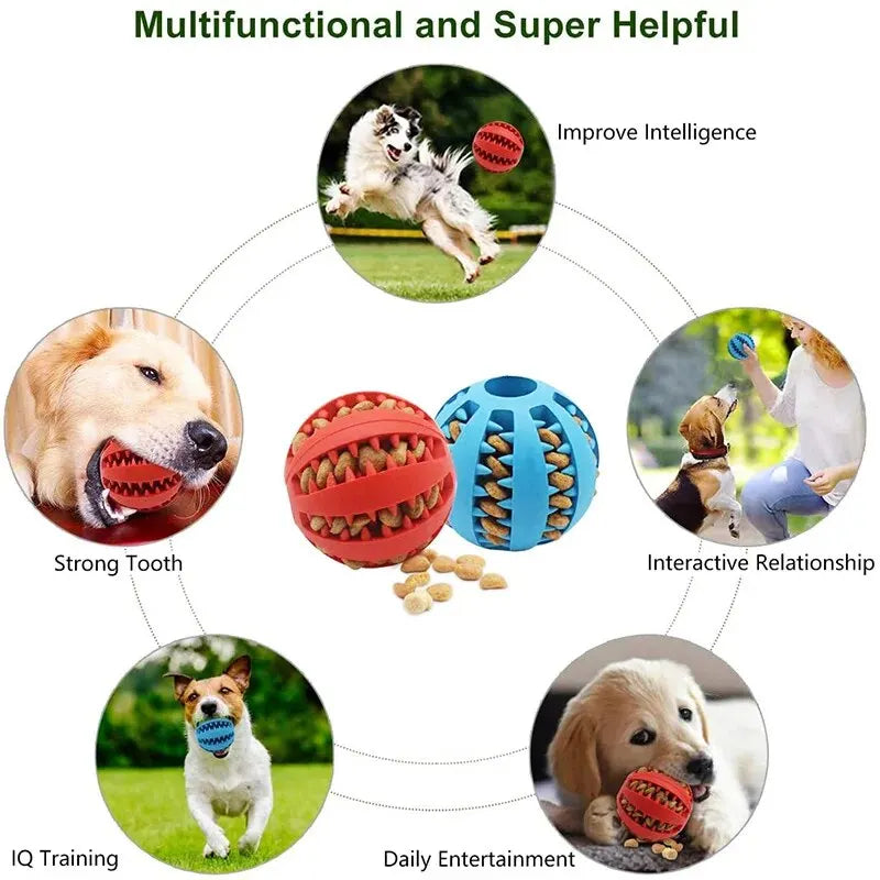 Balle distributrice de friandises pour chien et chat — nettoyage des dents