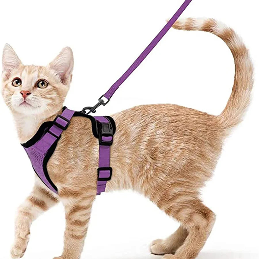 Harnais et laisse anti-fugue ajustable pour chat — contrôle facile