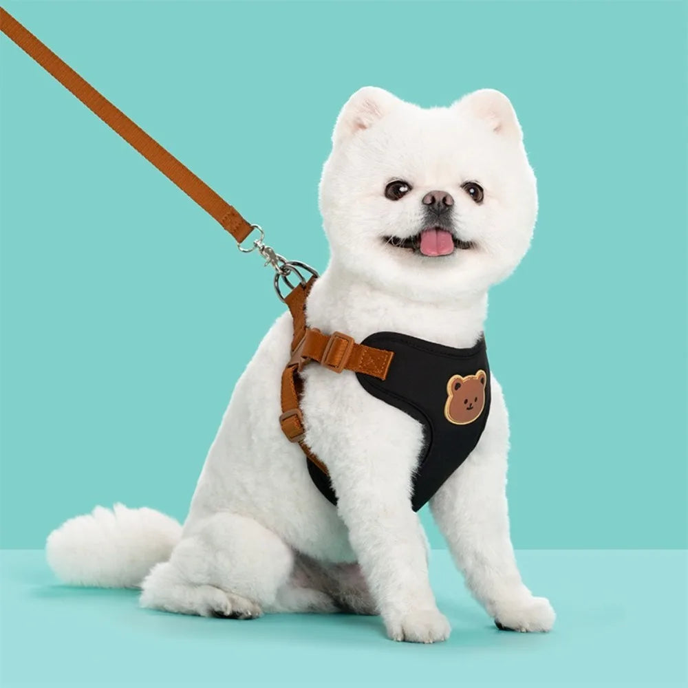 Ensemble harnais et laisse anti-traction pour chat et petit chien