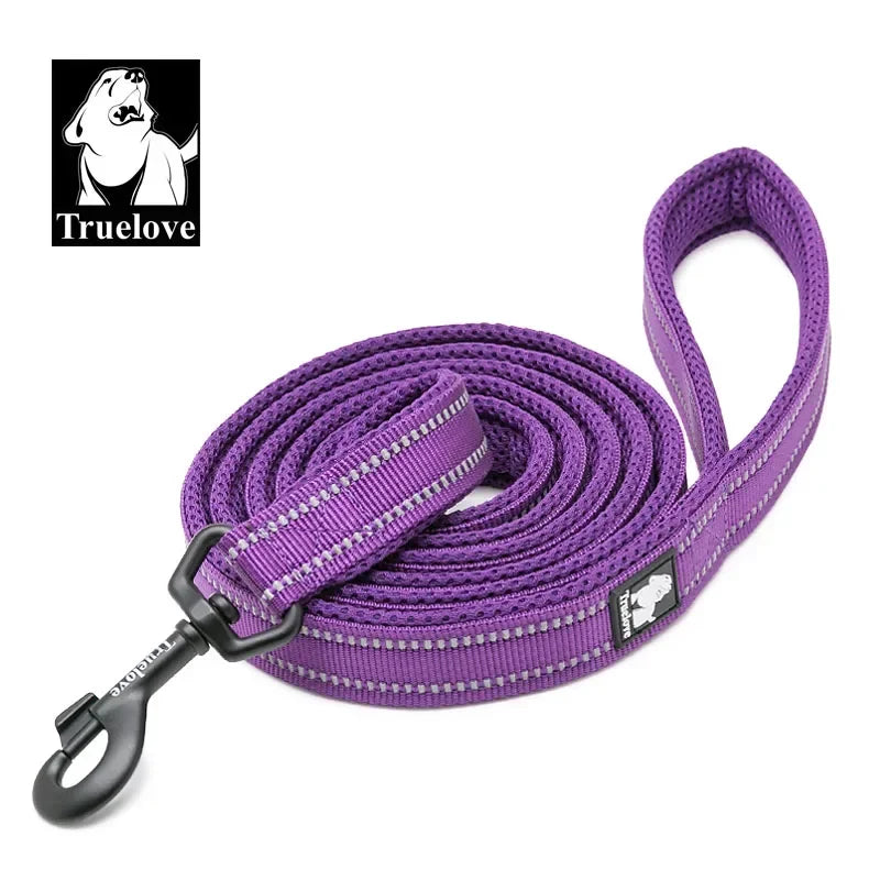Laisse Truelove rembourrée réfléchissante 2 m pour chien et chat