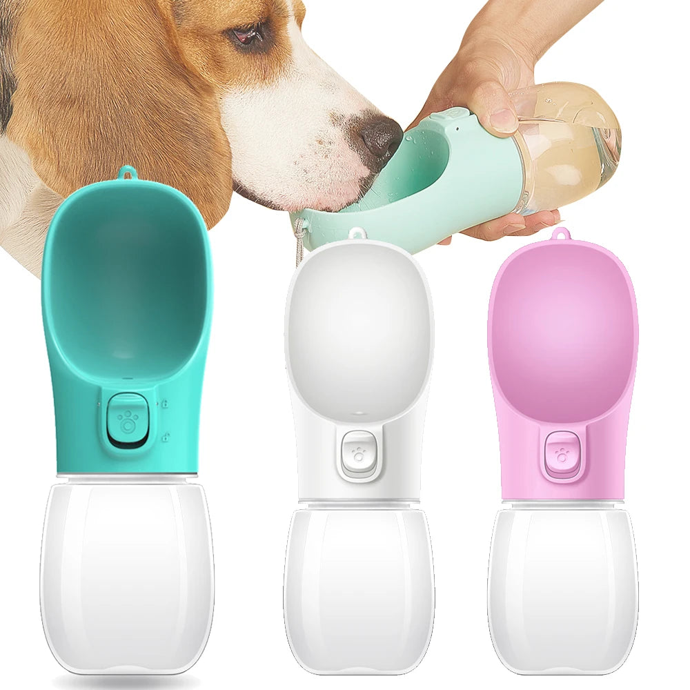Gourde d'eau portable pour chien et chat — anti-fuite pour la promenade