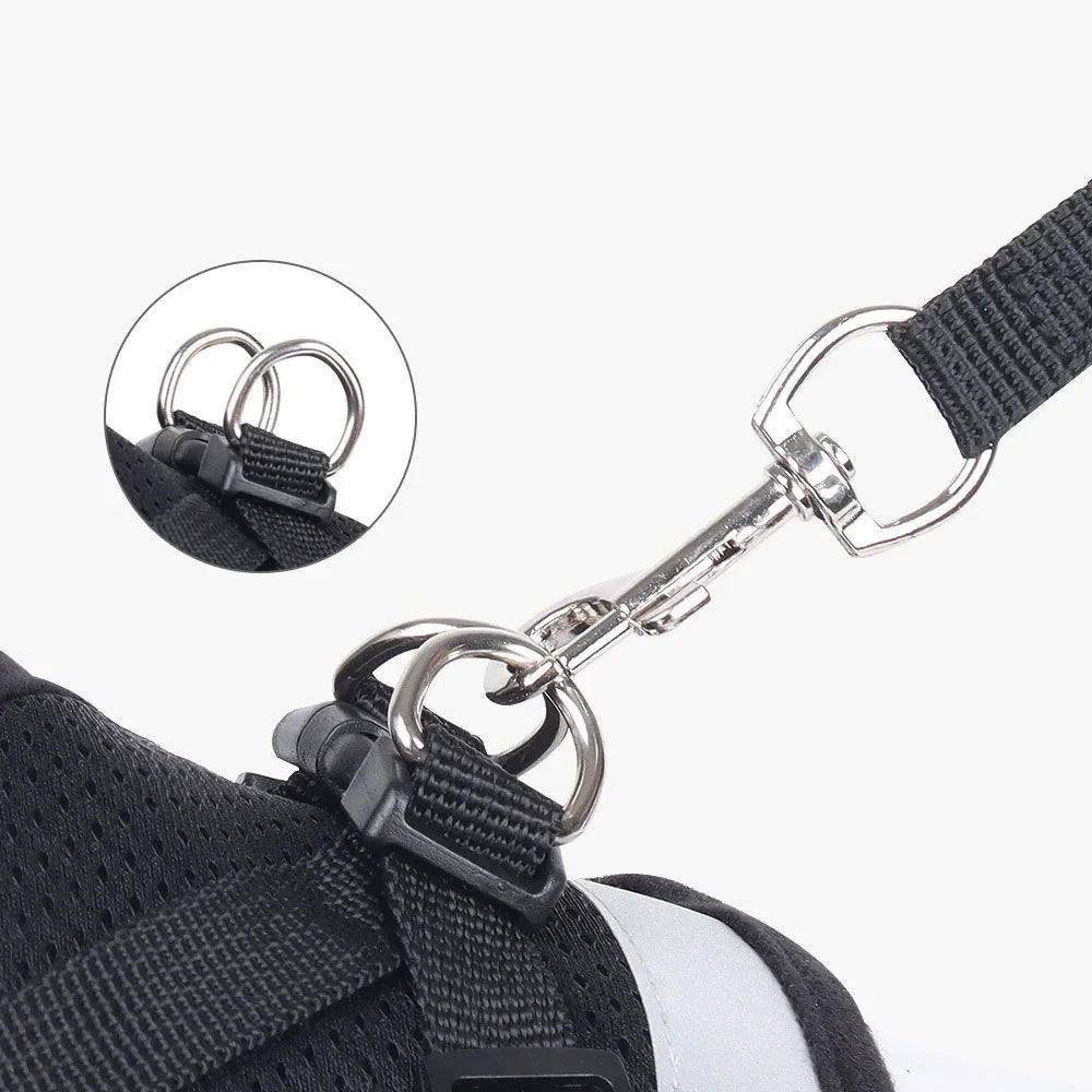 Ensemble harnais et laisse en mesh réfléchissant pour chat et petit chien