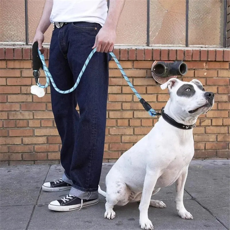 Laisse réfléchissante à poignée rembourrée pour chien — corde double robuste