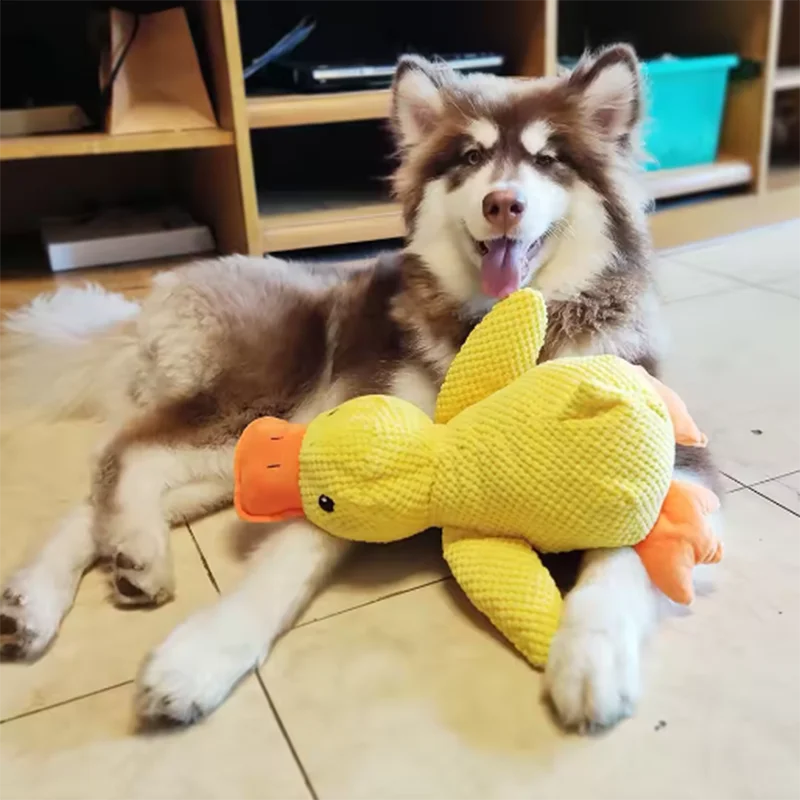 Peluche canard à câliner pour chien — jouet anti-ennui