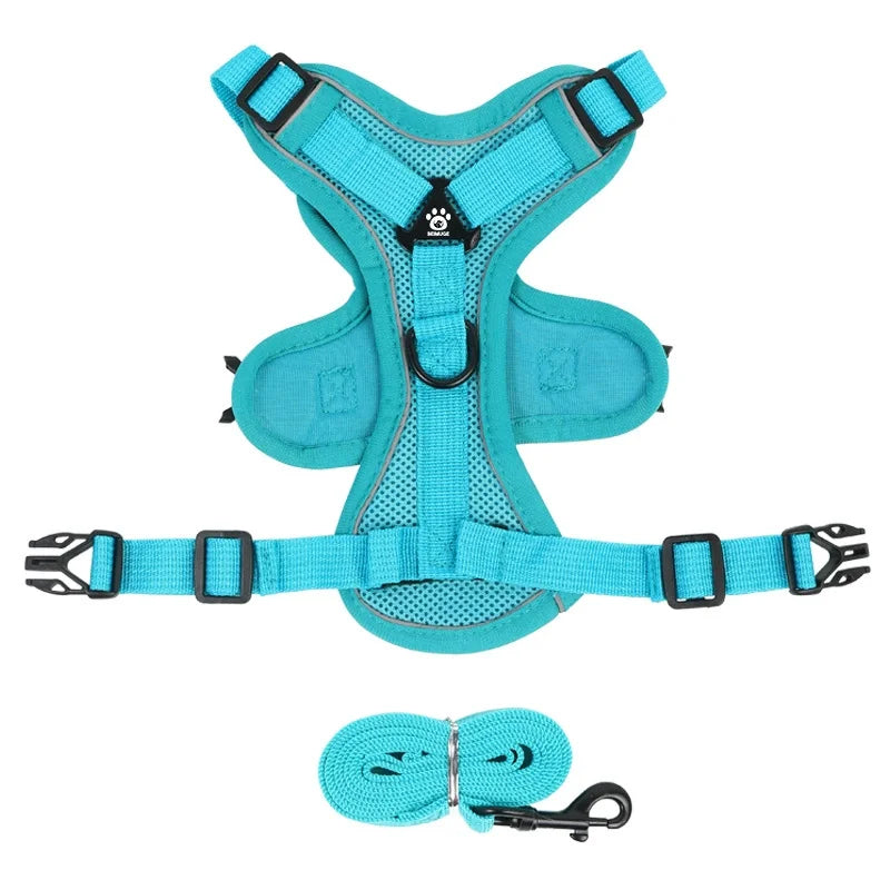 Ensemble harnais et laisse anti-traction réfléchissant pour petit chien et chat