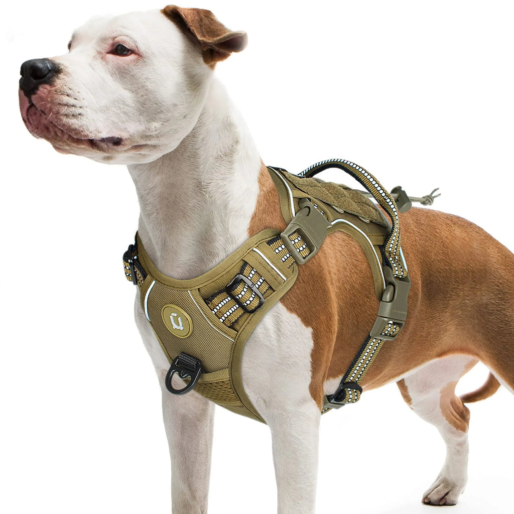 Harnais tactique militaire anti-traction pour chien moyen et grand