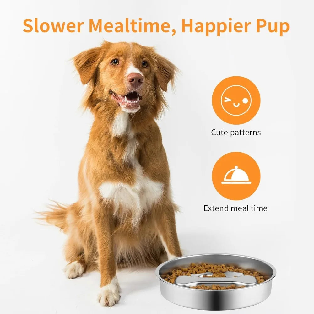 Gamelle anti-glouton en inox antidérapante pour chien et chat