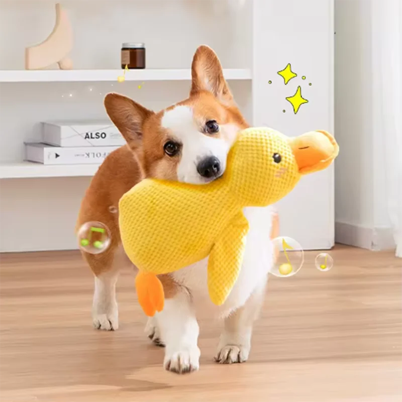Peluche canard à câliner pour chien — jouet anti-ennui