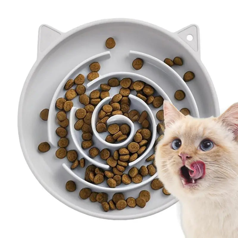 Gamelle anti-glouton pour chat — labyrinthe anti-renversement