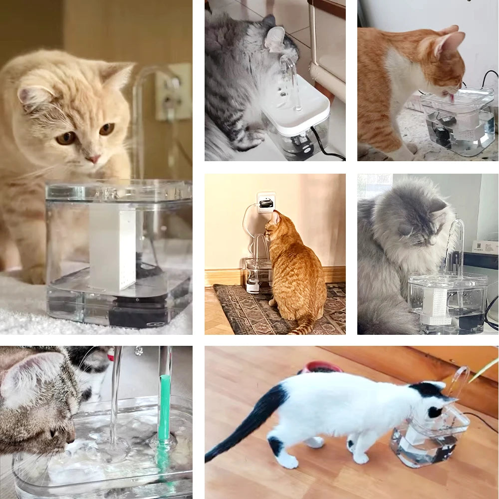 Fontaine à eau transparente pour chat et chien — filtrante et silencieuse