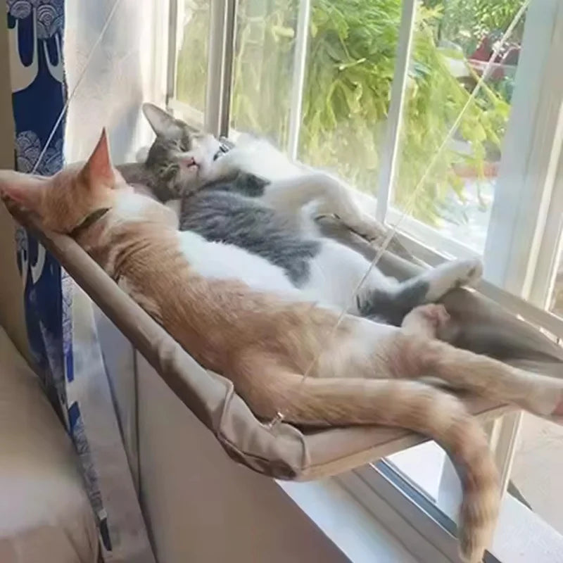 Hamac de fenêtre à ventouses pour chat — gain de place, 4 saisons