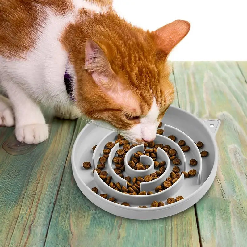 Gamelle anti-glouton pour chat — labyrinthe anti-renversement