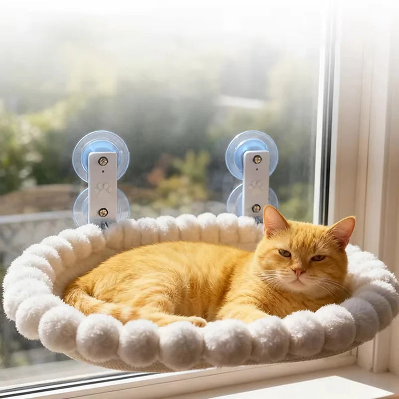 Hamac de fenêtre à ventouses puissantes pour chat — perchoir intérieur