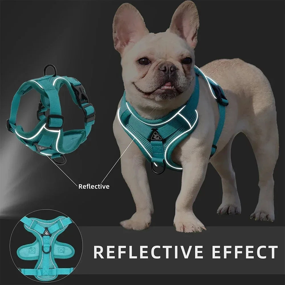 Ensemble harnais et laisse anti-traction réfléchissant pour petit chien et chat