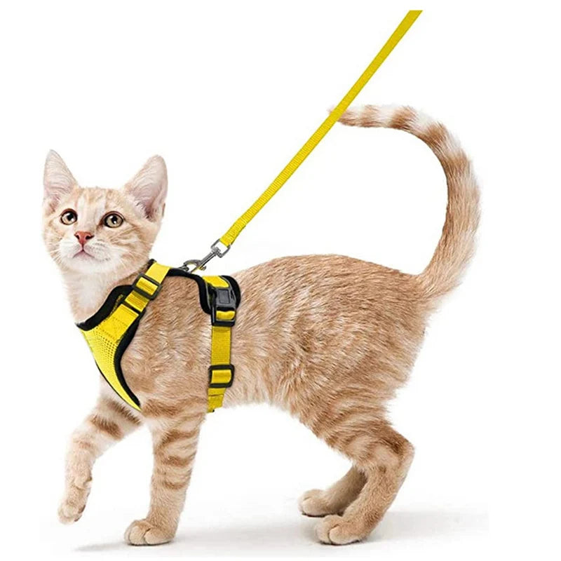 Harnais et laisse anti-fugue ajustable pour chat — contrôle facile