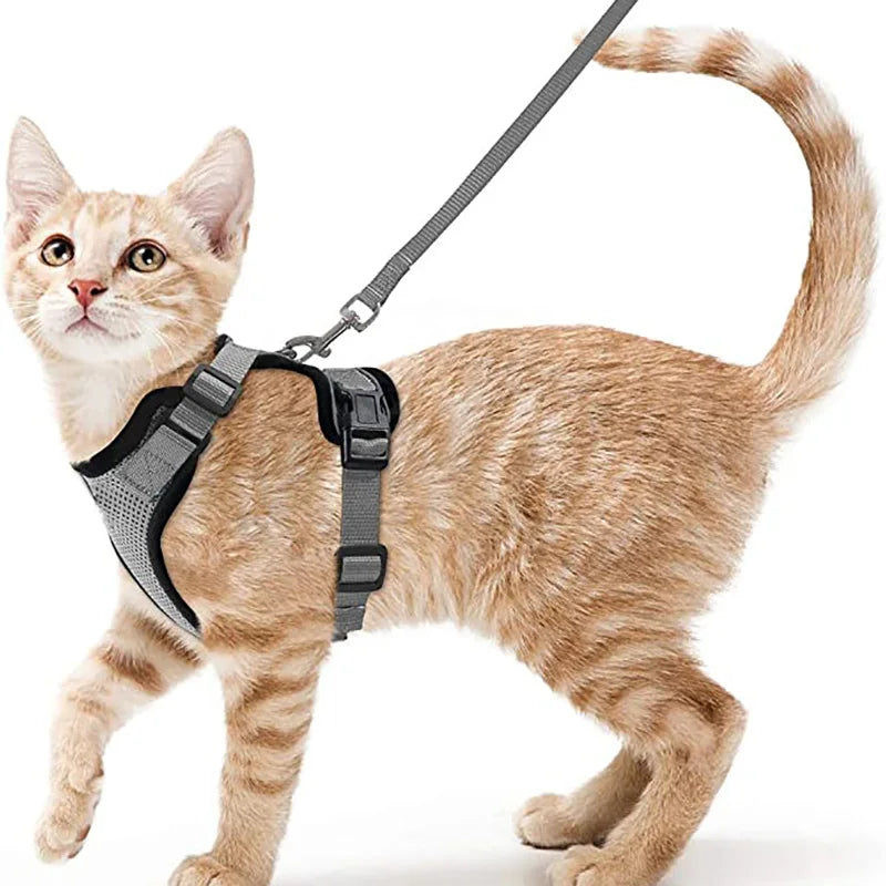 Harnais et laisse anti-fugue ajustable pour chat — contrôle facile