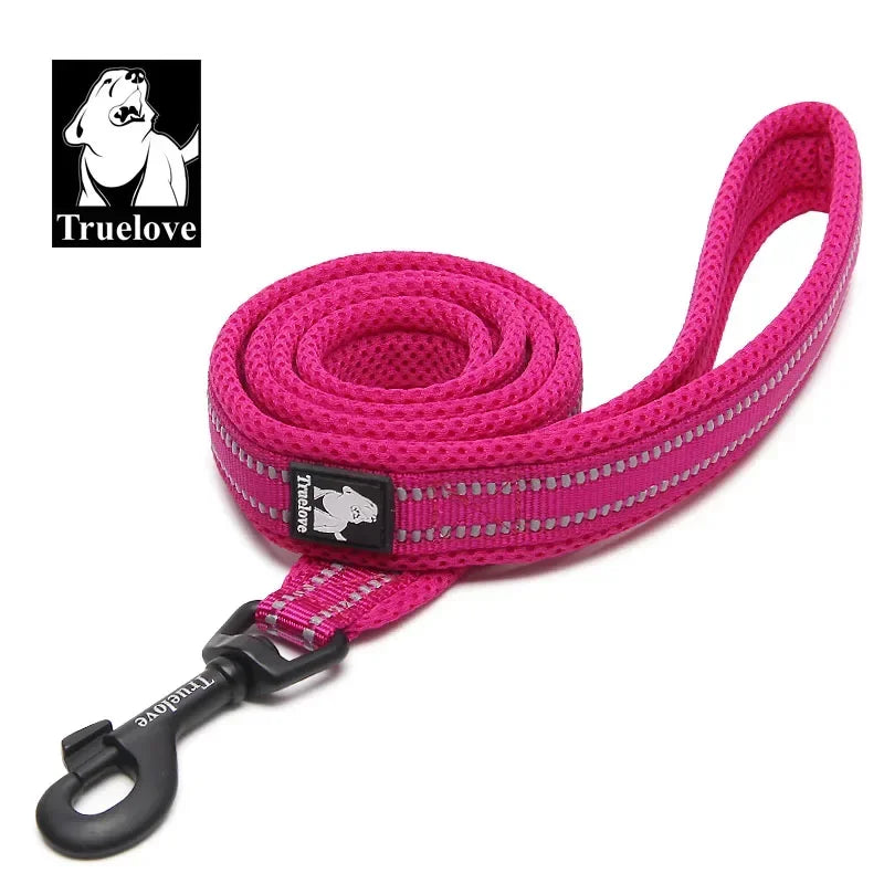 Laisse Truelove rembourrée réfléchissante 2 m pour chien et chat