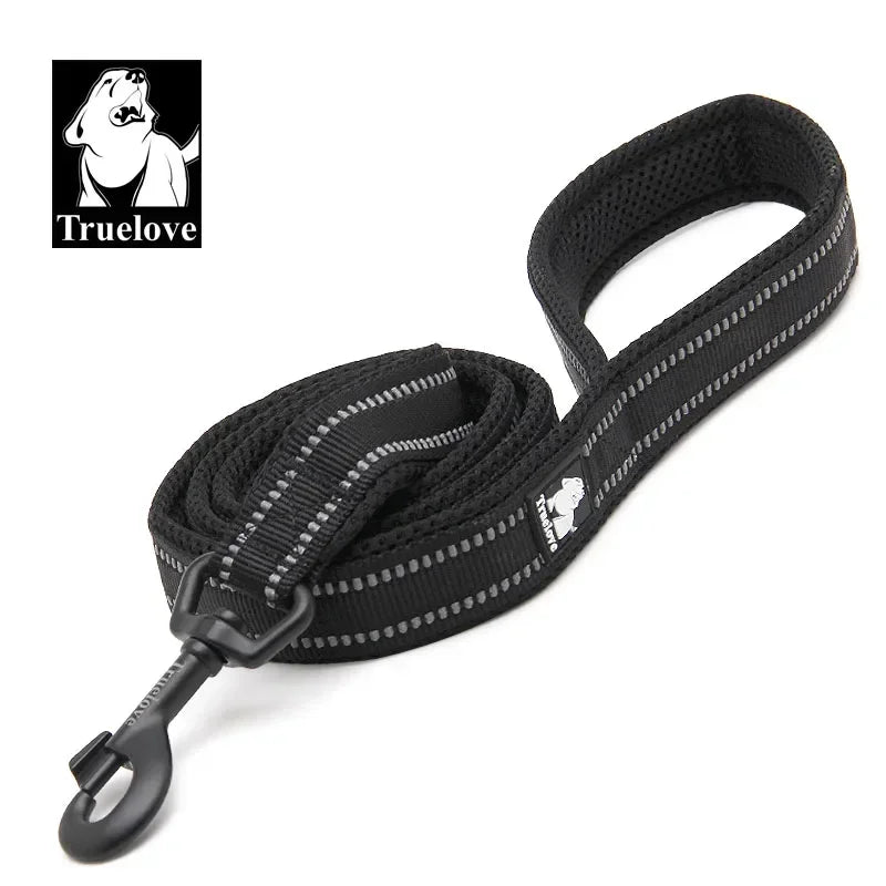 Laisse Truelove rembourrée réfléchissante 2 m pour chien et chat