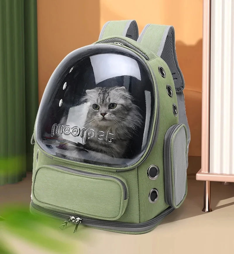 Sac à dos de transport bulle transparente pour chat et petit chien