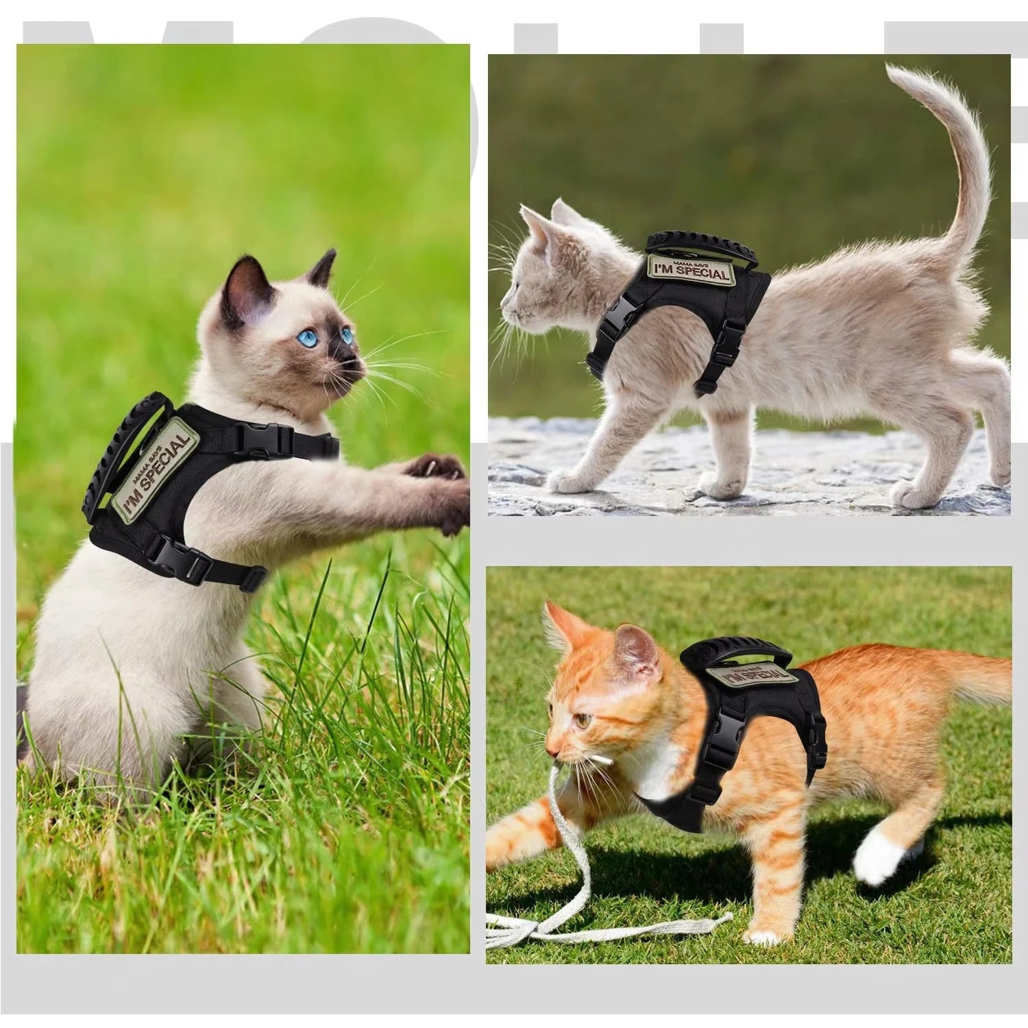 Harnais tactique d'extérieur anti-fugue pour chat — veste réglable