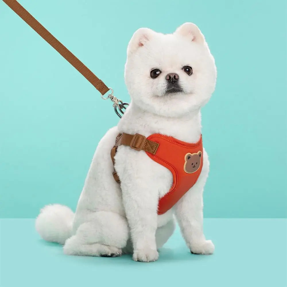Ensemble harnais et laisse anti-traction pour chat et petit chien