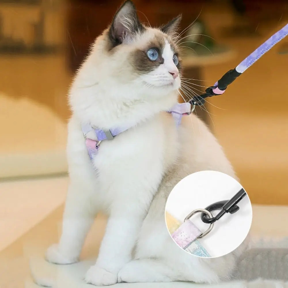 Ensemble harnais et laisse anti-fugue dégradé pour chat