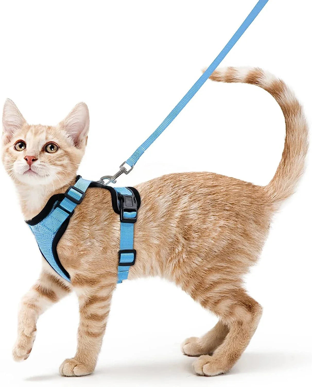 Harnais et laisse anti-fugue ajustable pour chat — contrôle facile