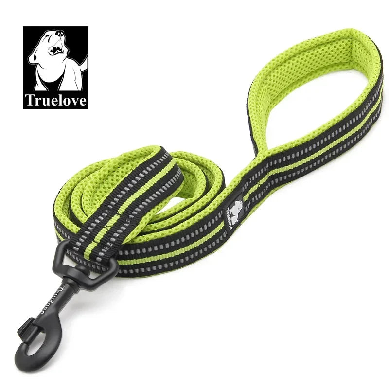 Laisse Truelove rembourrée réfléchissante 2 m pour chien et chat
