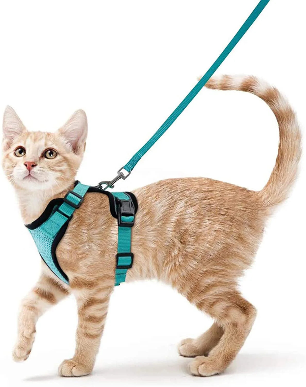 Harnais et laisse anti-fugue ajustable pour chat — contrôle facile