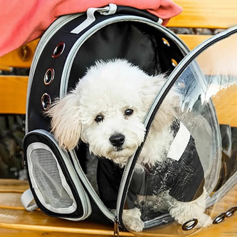 Sac à dos de transport bulle 360° respirant pour chat et petit chien