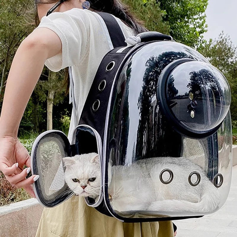 Sac à dos de transport bulle 360° respirant pour chat et petit chien