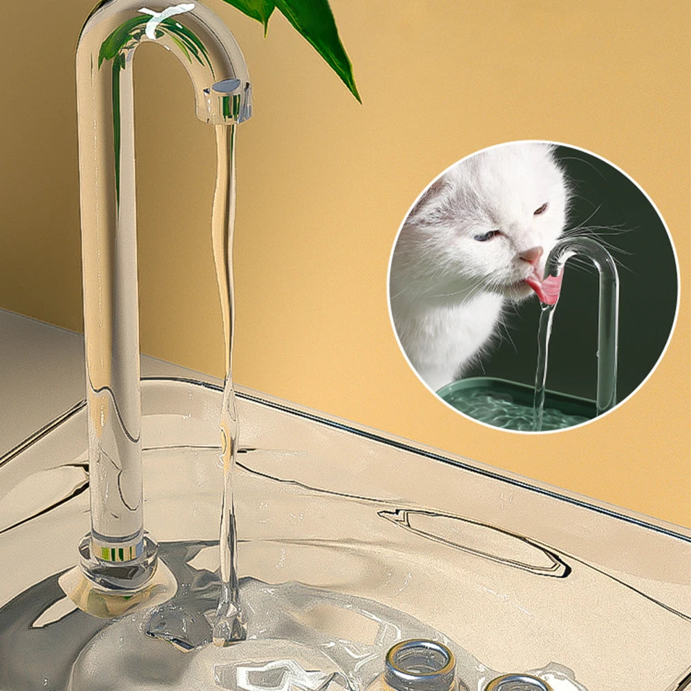 Fontaine à eau transparente pour chat et chien — filtrante et silencieuse