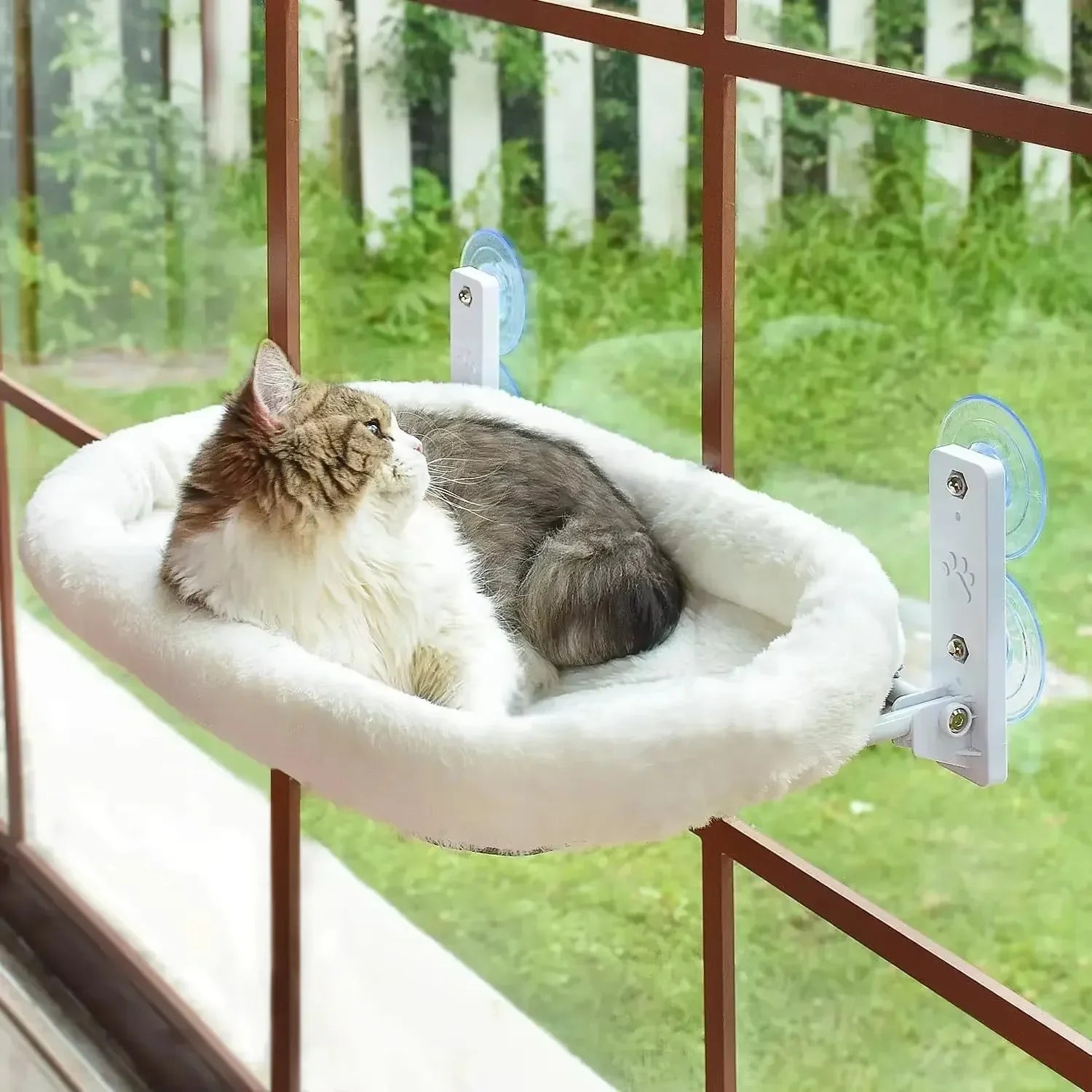 Hamac de fenêtre chaud pour chat — ventouses, nid d'hiver