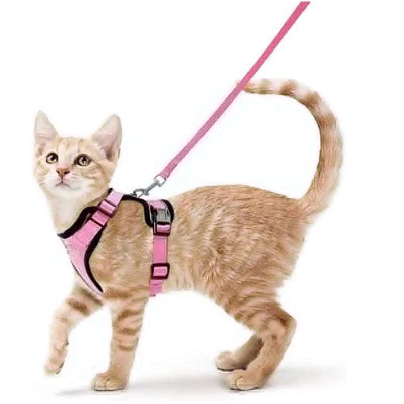 Harnais et laisse anti-fugue ajustable pour chat — contrôle facile