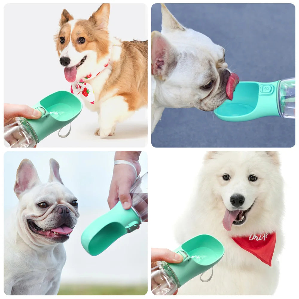 Gourde d'eau portable pour chien et chat — anti-fuite pour la promenade