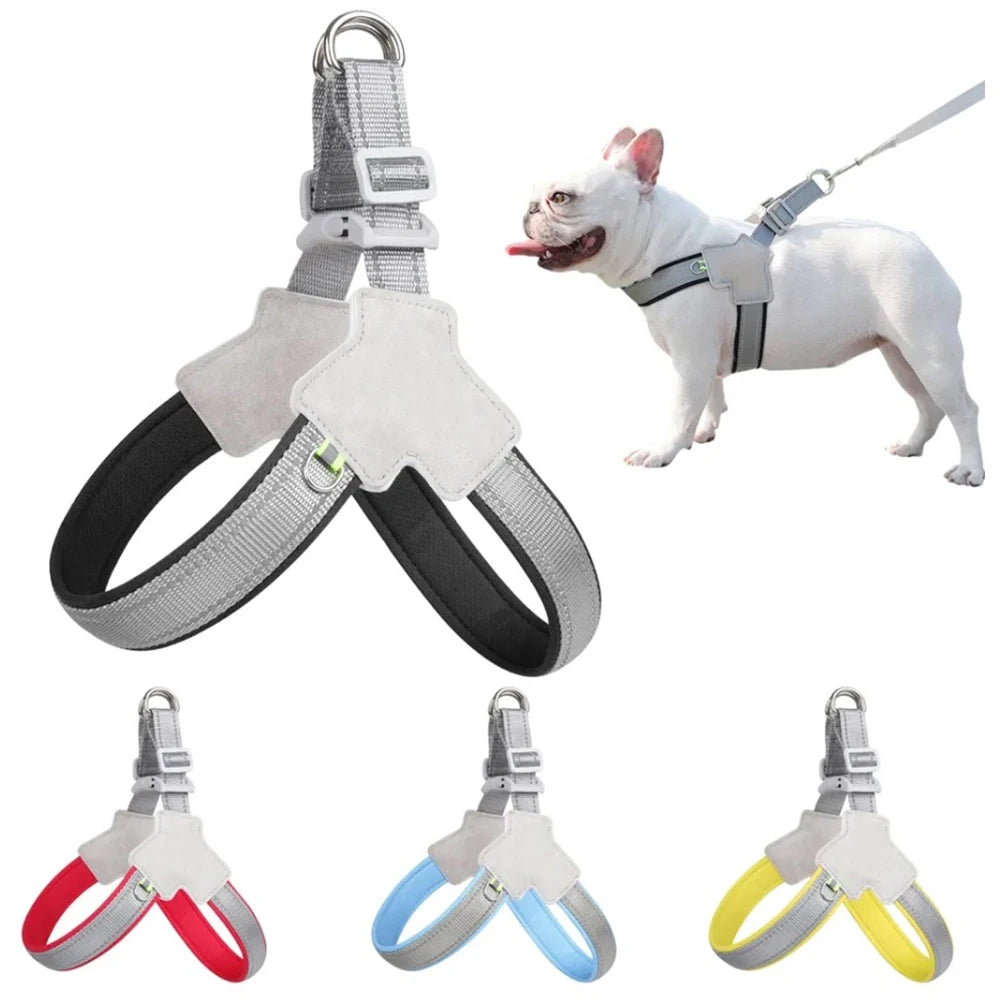 Harnais réfléchissant anti-traction pour petit chien et chat