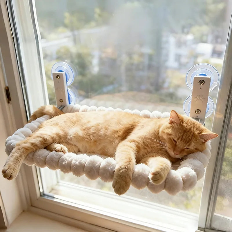 Hamac de fenêtre à ventouses puissantes pour chat — perchoir intérieur