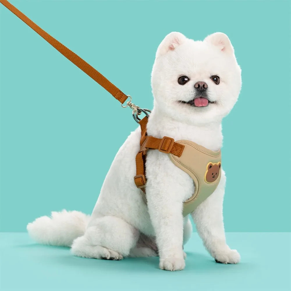 Ensemble harnais et laisse anti-traction pour chat et petit chien